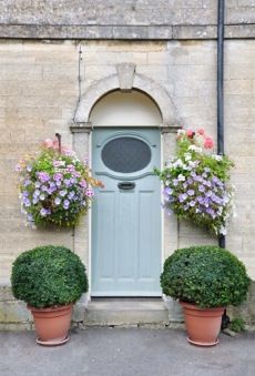 container plants