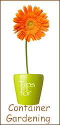 Container Gardening tips