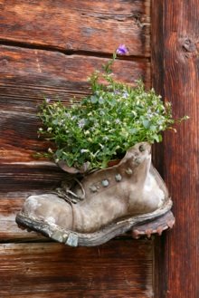 Container Gardening