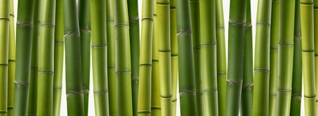 bamboo countertops